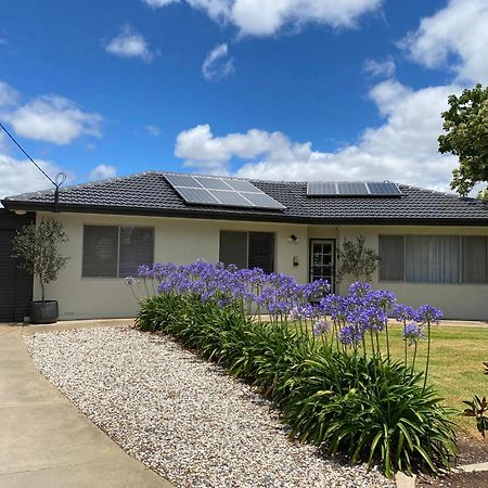 הוילה Para House, Tanunda. In The Heart Of The Barossa Valley!. מראה חיצוני תמונה