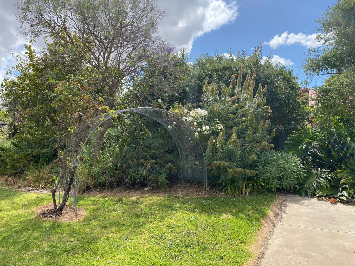 הוילה Para House, Tanunda. In The Heart Of The Barossa Valley!. מראה חיצוני תמונה