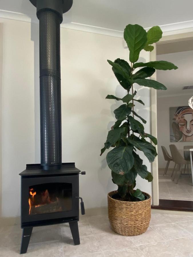 הוילה Para House, Tanunda. In The Heart Of The Barossa Valley!. מראה חיצוני תמונה
